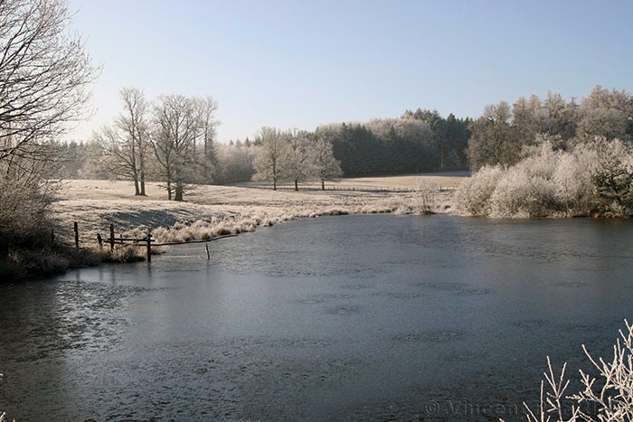 Petit etang.jpg